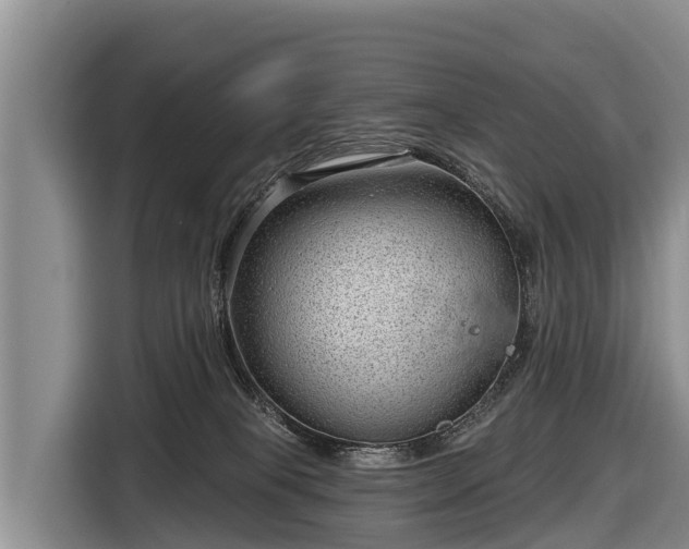 X0000116810085200912241229