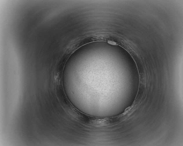 X0000116810086200912241229