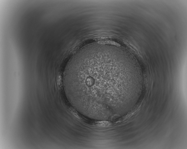 X0000116810087200912241229