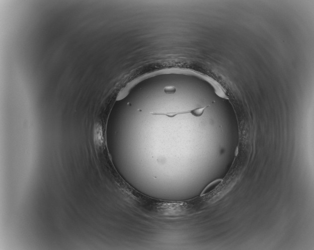 X0000116810089200912241229