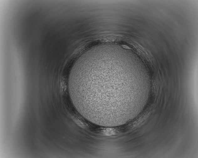 X0000116810091200912241229