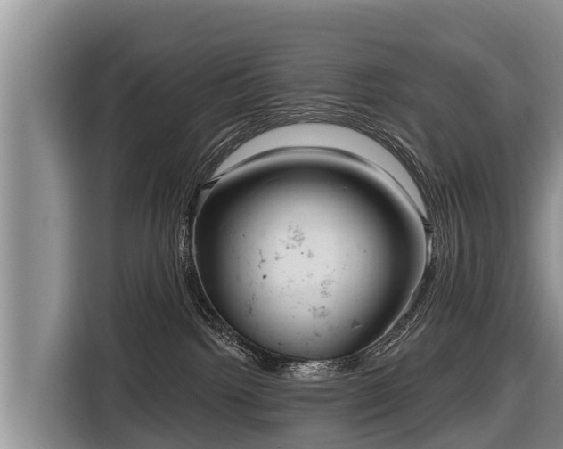 X0000116810092200912241229