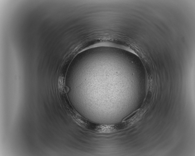 X0000116810093200912241229