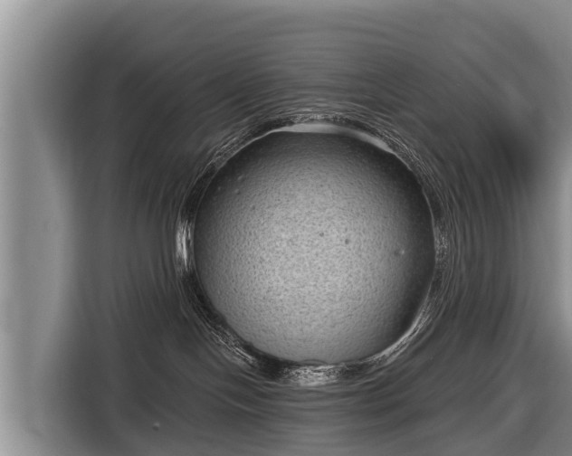 X0000116810094200912241229