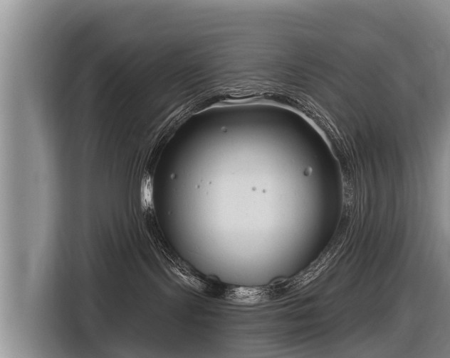 X0000116810095200912241229