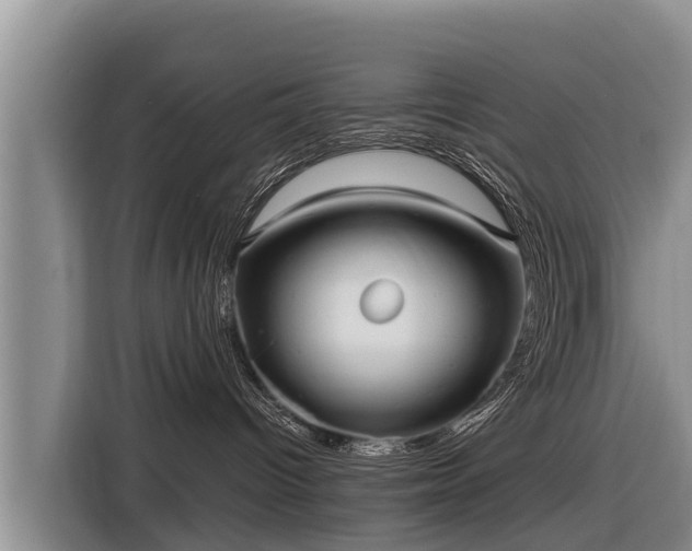 X0000116810096200912241229