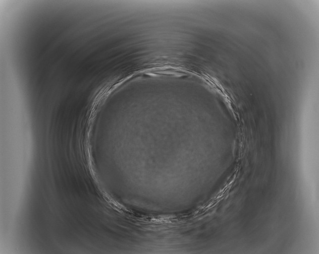 X0000116810097200912241229