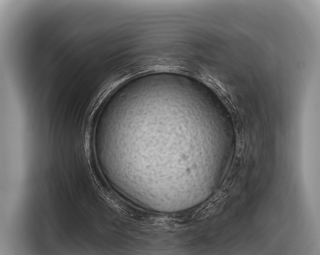 X0000116810098200912241229