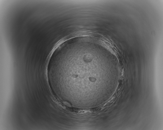 X0000116810099200912241229