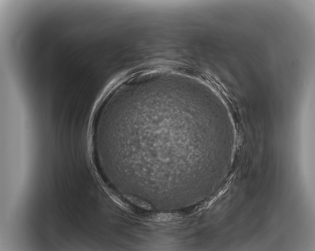 X0000116810101200912241229