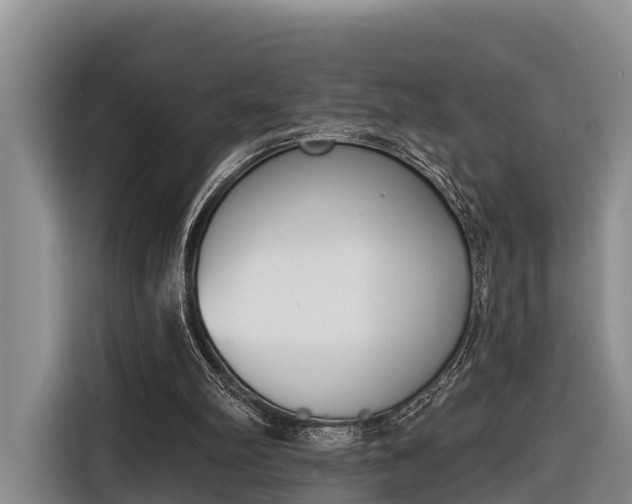 X0000116810102200912241229