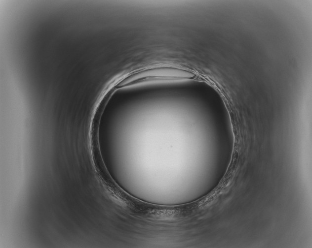 X0000116810104200912241229