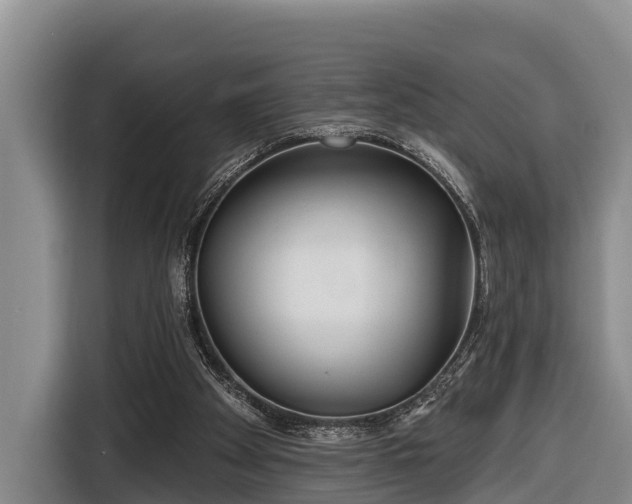 X0000116810105200912241229