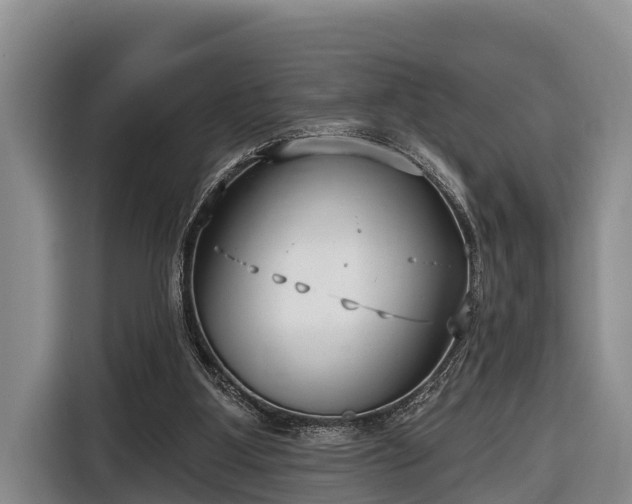 X0000116810107200912241229