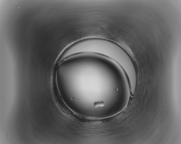 X0000116810108200912241229