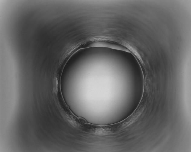 X0000116810109200912241229