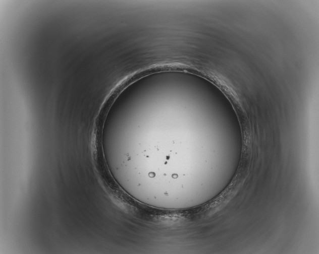 X0000116810112200912241229