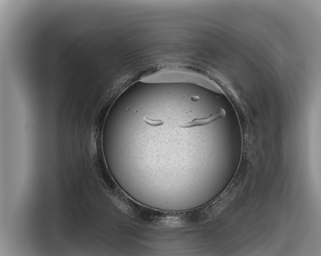 X0000116810114200912241229