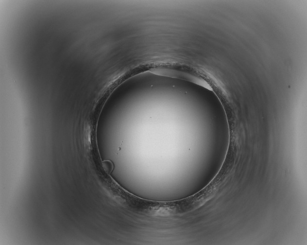 X0000116810115200912241229