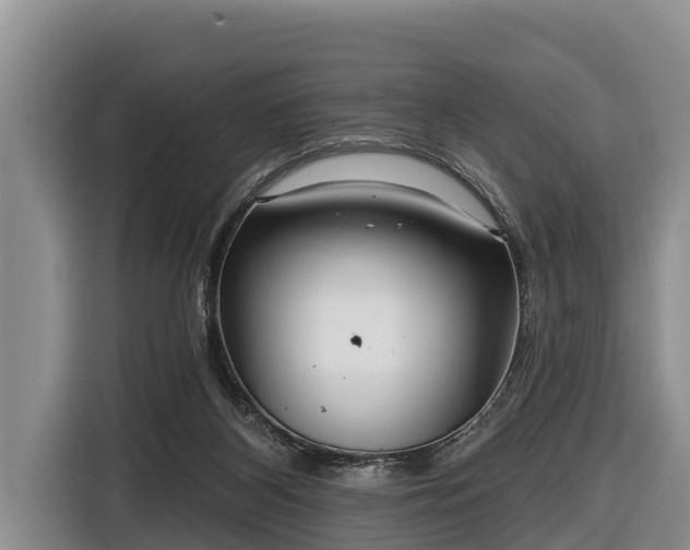 X0000116810116200912241229