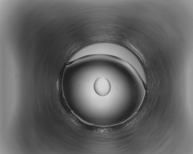 X0000116810117200912241229