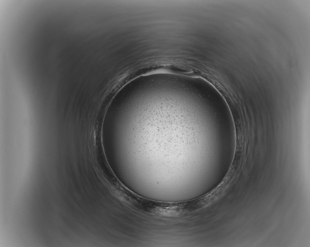 X0000116810120200912241228