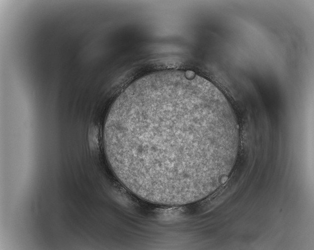 X0000116810122200912241228