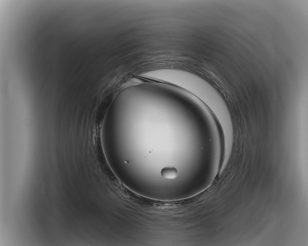 X0000116810125200912241228