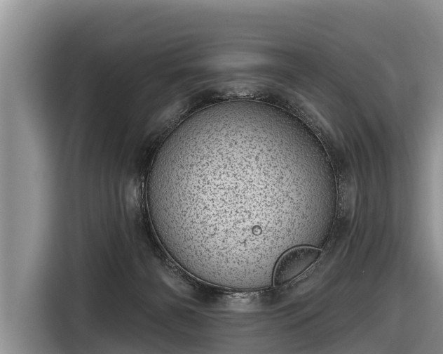 X0000116810126200912241228