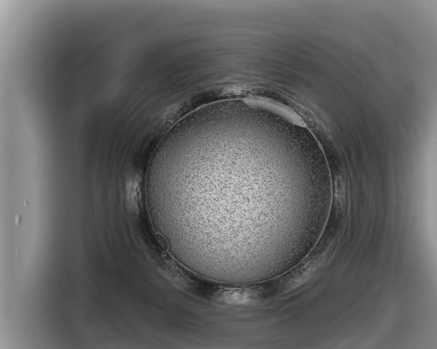 X0000116810127200912241228