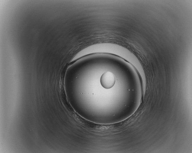 X0000116810129200912241228