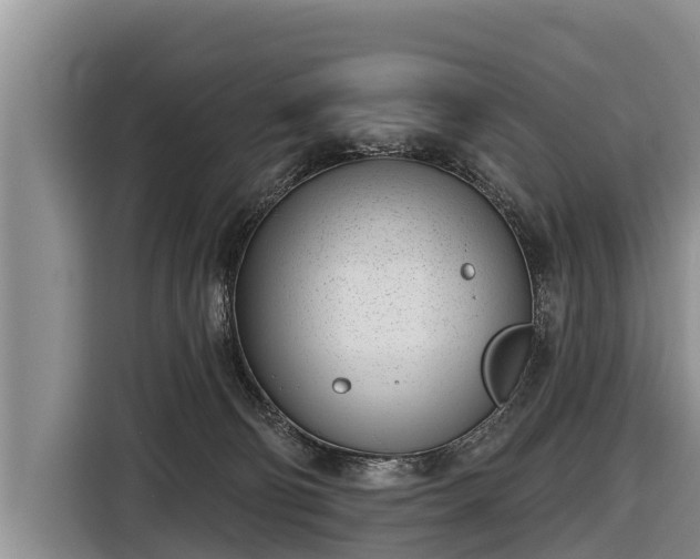 X0000116810130200912241228