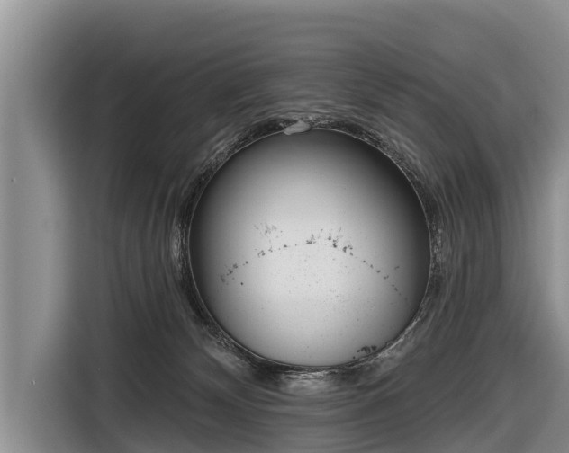 X0000116810132200912241228