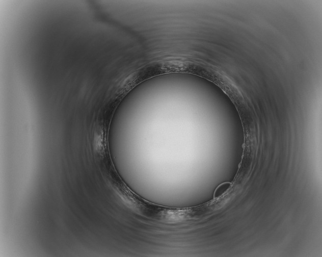 X0000116810134200912241228