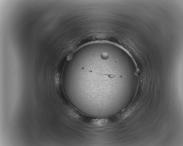 X0000116810135200912241228