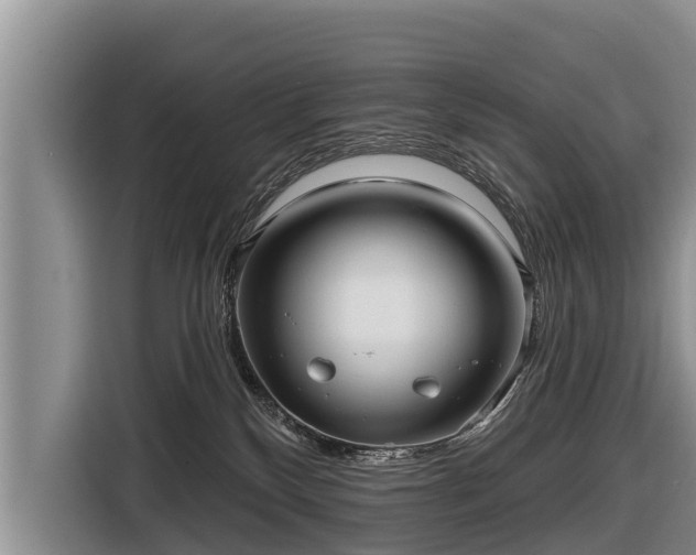 X0000116810136200912241228