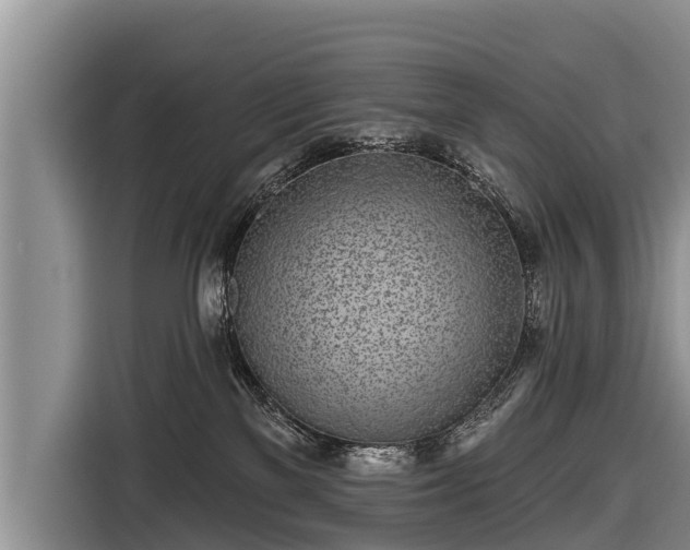 X0000116810137200912241228