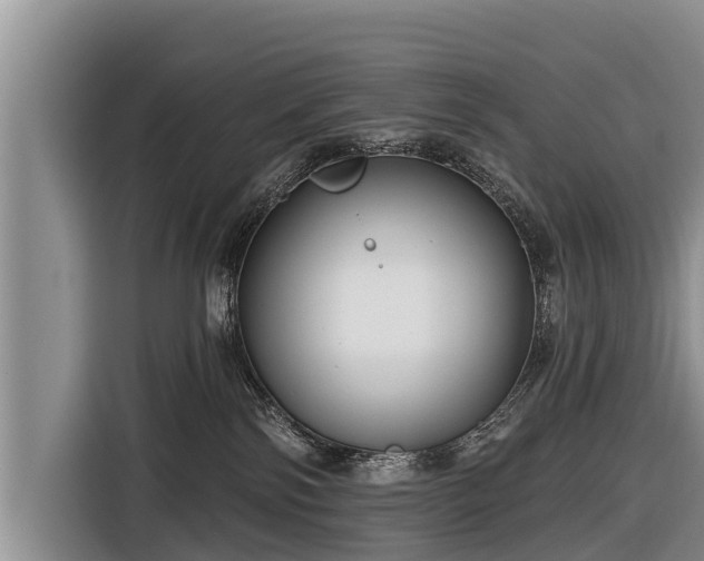 X0000116810138200912241228