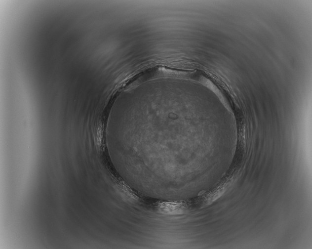 X0000116810139200912241228