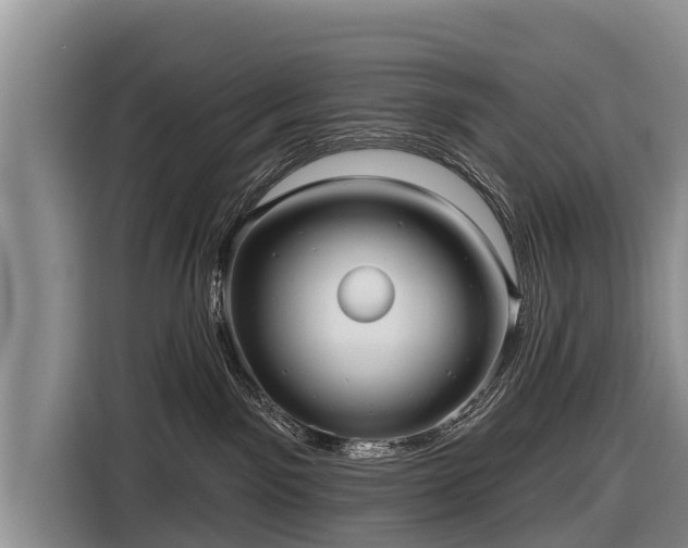 X0000116810141200912241228