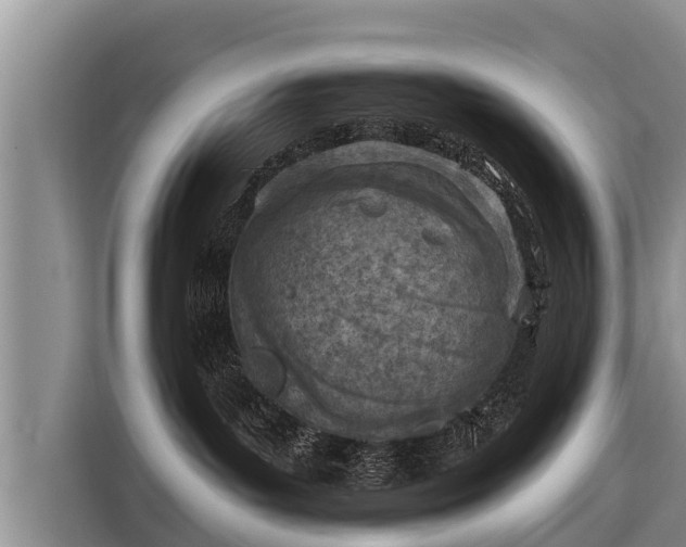 X0000116810143200912241228