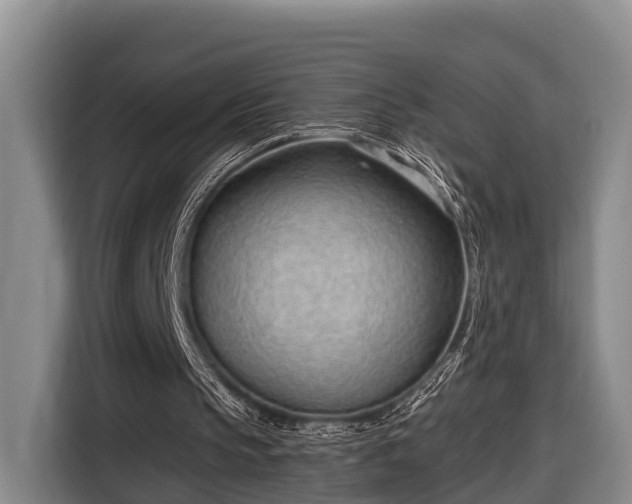 X0000116810145200912241228