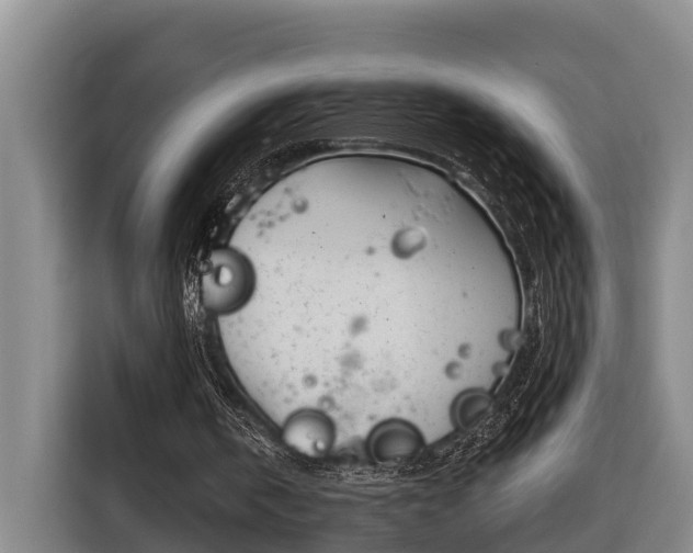 X0000116810146200912241228