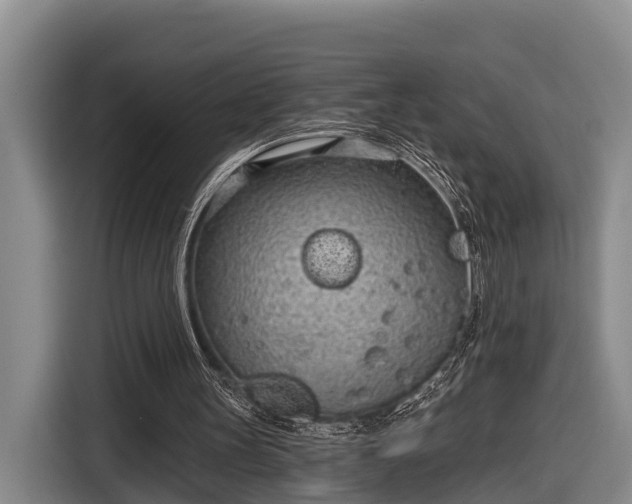 X0000116810147200912241228