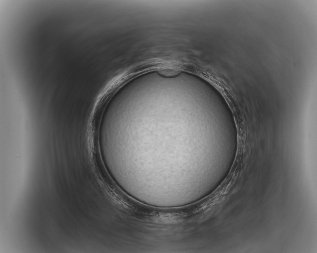 X0000116810149200912241228