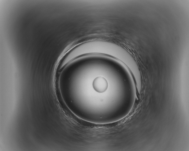 X0000116810150200912241228