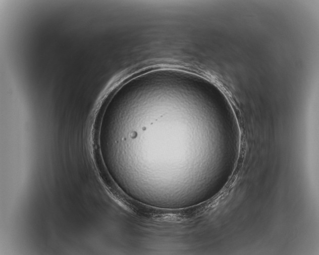 X0000116810151200912241228