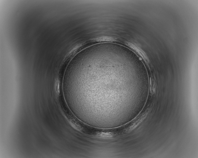 X0000116810157200912241228