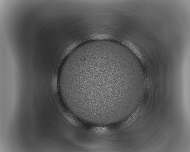 X0000116810159200912241228