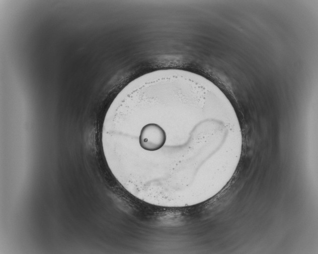 X0000116810162200912241228